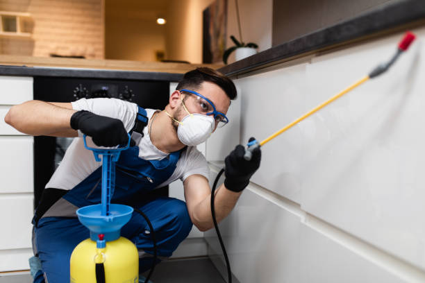 Best Ant Control Services  in Punaluu, HI
