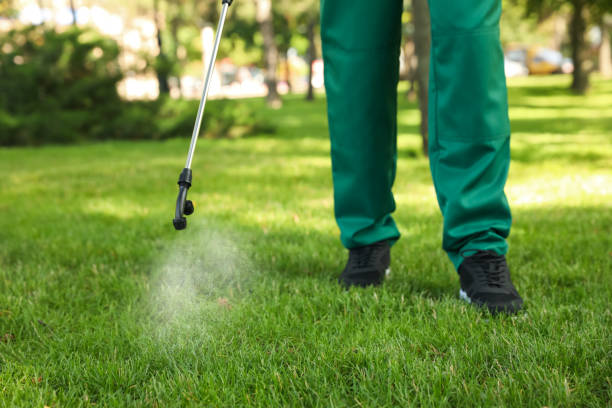 Best Flea Control Services  in Punaluu, HI